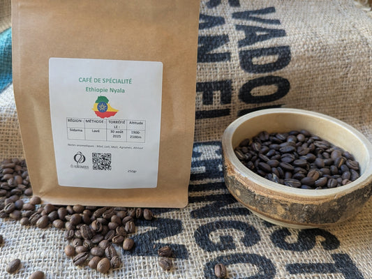 Ethiopie Nyala